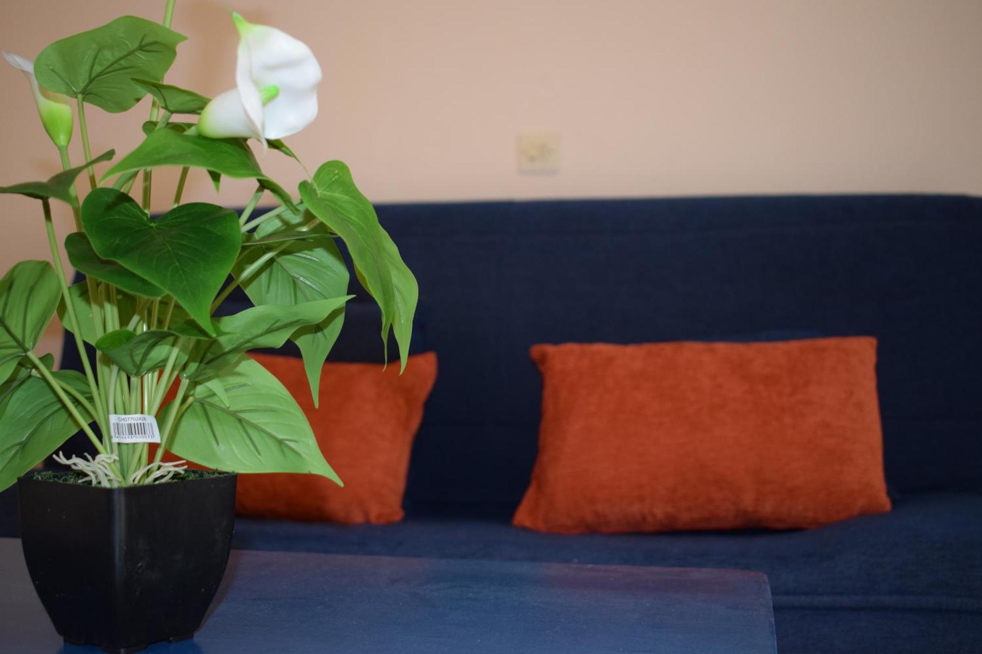 Paradisus Apartments バルバティ エクステリア 写真